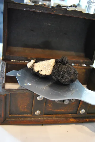 Tartufo
